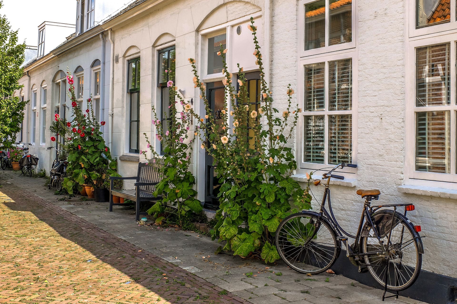 IWCN Webinar | Buying Your Home in the Netherlands
