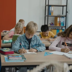 Navigating the Dutch Education System | IWCN Webinar